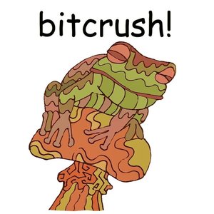 bitcrush! 的头像