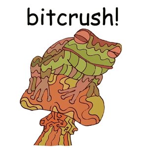 Avatar for bitcrush!