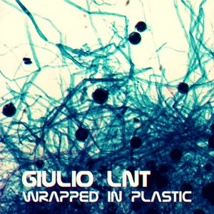 Wrapped in Plastic