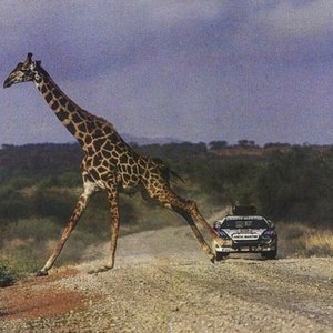 FINAL LAP - Single