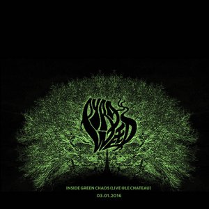 Inside Green Chaos (live @Le Chateau)
