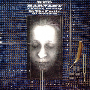 There's Beauty in the Purity of Sadness cover