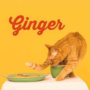 Ginger - Single