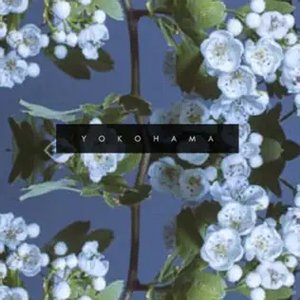 Yokohama