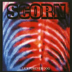 'Lick Forever Dog'の画像