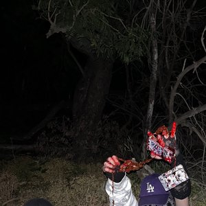 a200xeaf 的头像