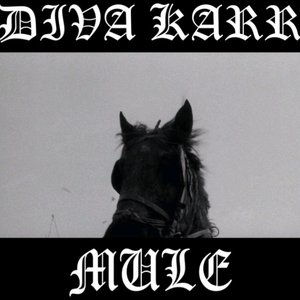Mule