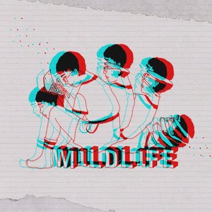 M1LDL1FE - EP