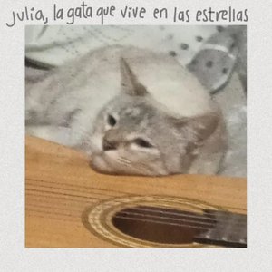 Julia, la gata que vive en las estrellas