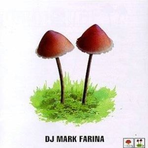 Mushroom Jazz 2