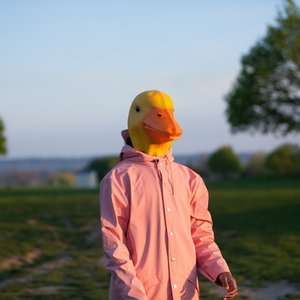 Duckai 的头像
