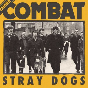 Stray Dogs