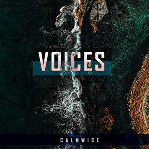 voices