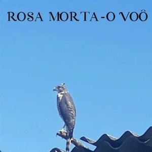 Voo