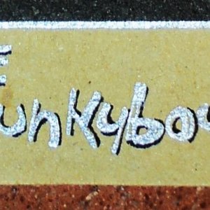 The Spunkyboyz 的头像