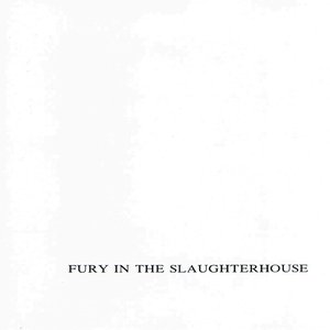 Fury in the Slaughterhouse