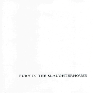 Song Key of Every Generation Got Its Own Disease (Fury In The  Slaughterhouse) - GetSongKEY