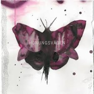 Inga skor - Single