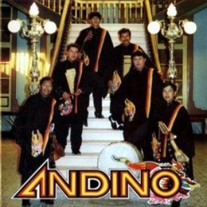 “Andino”的封面