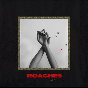 Roaches