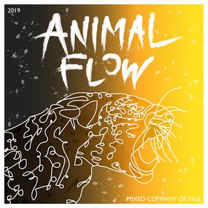Animal Flow
