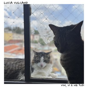 Vim, Vi e Me Fudi [Explicit]