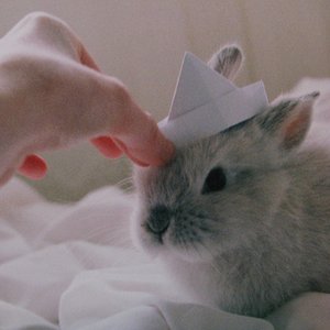 JP project~ 的头像