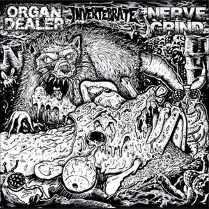 Organ Dealer/ Nerve Grind/ Invertebrate