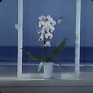 水​に​流​す