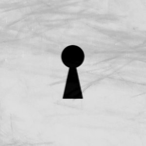 The Voyeurist