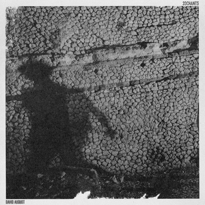 David August - 33chants - Zortam Music