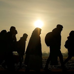 Los Imigrantes 的头像
