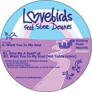 Image for 'Want You In My Soul (feat. Stee Downes)'