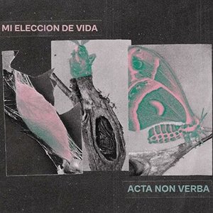 Con los pies en la tierra