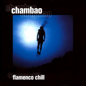 Image for 'Flamenco Chill Vol. 2'