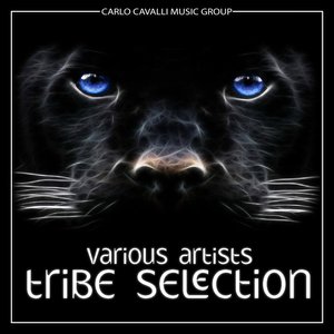 Tribe Selection (Tech House and Deep House Unmixed)