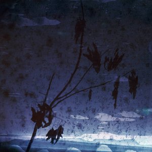 Hollow and Limpid