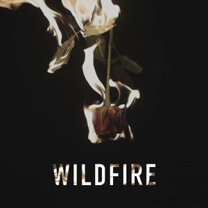 Wildfire - Single