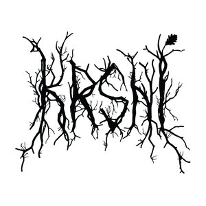 KRSNĪ 的头像