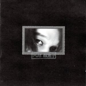 PUB 黑盒子