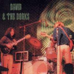 'David & The Dorks'の画像