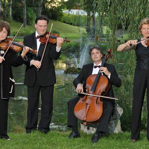 Verdi Quartett 的头像