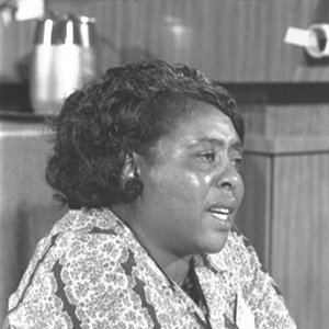 Fannie Lou Hamer 的头像