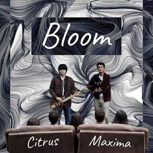 Bloom