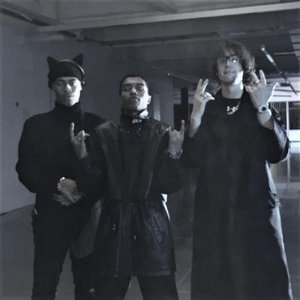 Visa - Single