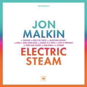 Electric Steam