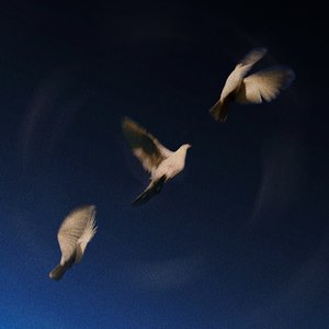 Everything You Need [Clean] [Clean]