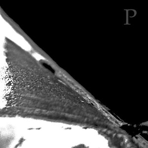 Paragos