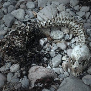 Ordeal & Plight