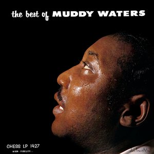 The Best Of Muddy Waters